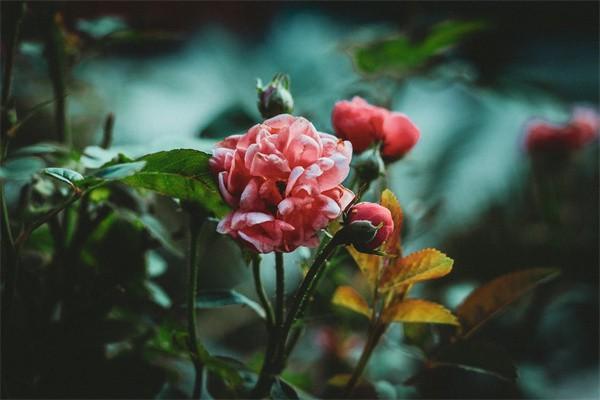 養(yǎng)老保險交30年退休每月拿多少？與哪些因素有關(guān)？
