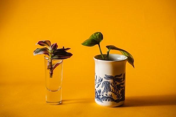 社保怎么自己繳費(fèi)？最少交多少年？
