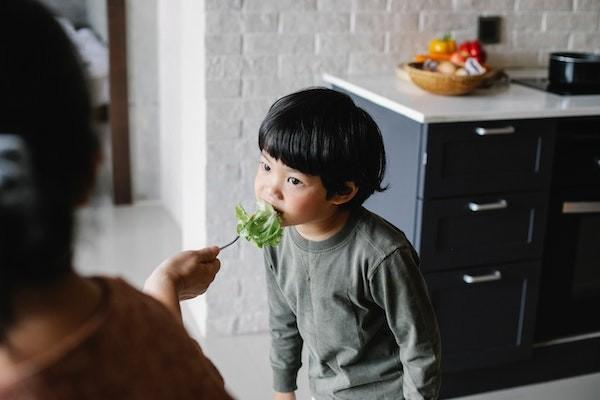 保險人和被保險人是什么意思？保險人可否隨意解除保險合同？