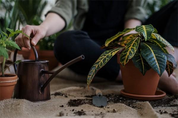 商業(yè)保險怎么報銷？報銷后還能買嗎？
