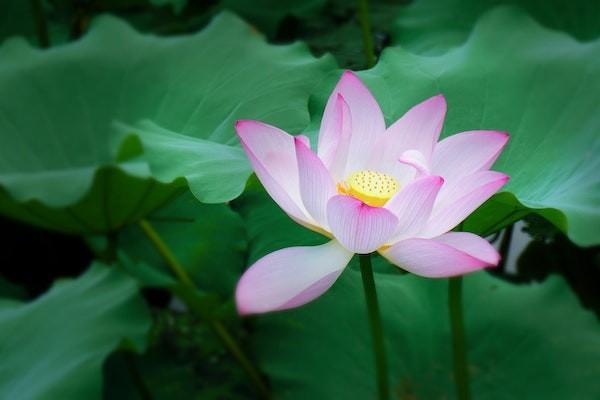 如何控制養(yǎng)老理財?shù)娘L險？養(yǎng)老理財推薦哪些產(chǎn)品？