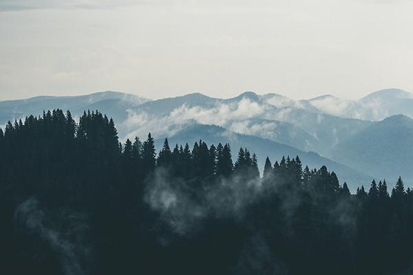 家庭財產(chǎn)保險包括哪些內(nèi)容？哪里能夠買到？