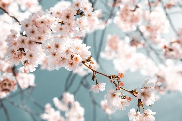 郵政銀行保險(xiǎn)理財(cái)產(chǎn)品可靠嗎？怎么買？