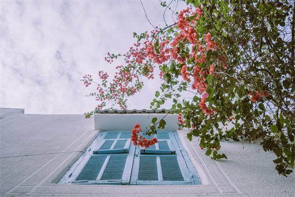 分紅保險可靠嗎？到期了可以拿回本金嗎？