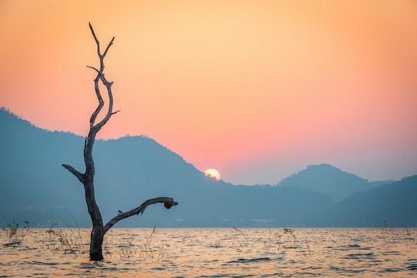 社保局24小時(shí)咨詢電話是多少？怎么轉(zhuǎn)人工服務(wù)？