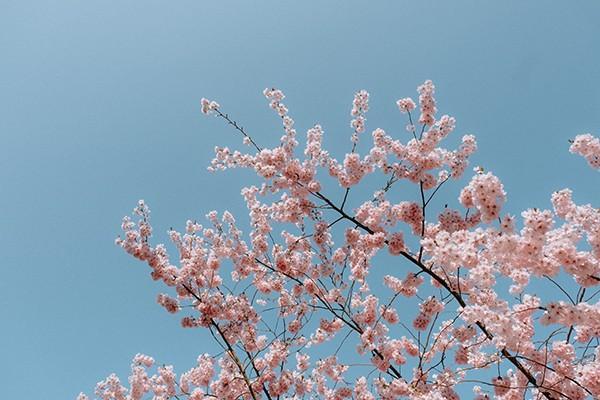 為什么不建議買理財(cái)保險(xiǎn)？應(yīng)該如何選擇？