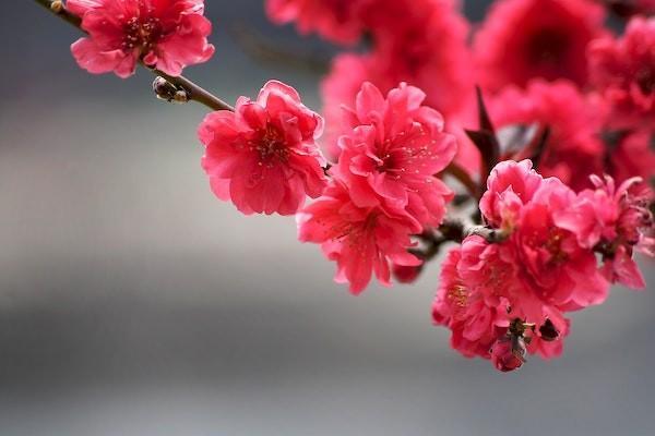 增額終身壽險的irr怎么算？增額終身壽險可靠嗎？