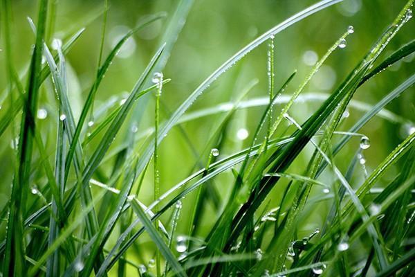 理財(cái)保險(xiǎn)和定期存款哪個(gè)好？有哪些區(qū)別？