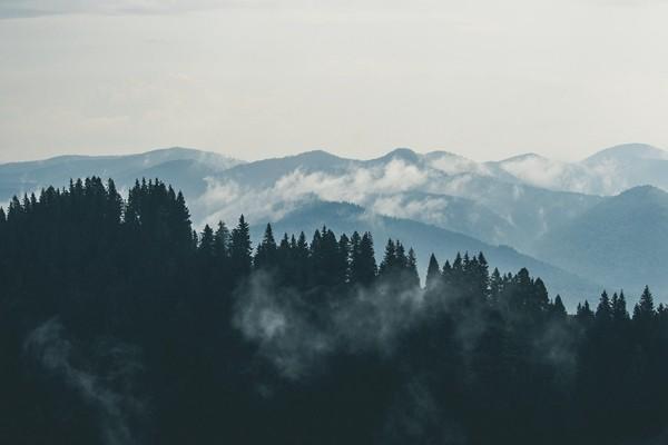 意外險個人怎么買？有必要買嗎？