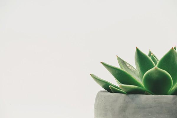 工地工人臨時(shí)意外保險(xiǎn)在哪買？多少錢？