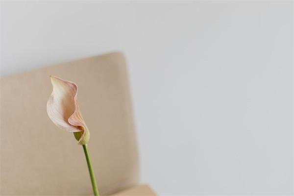 普通意外險多少錢一年？可以買多份嗎？