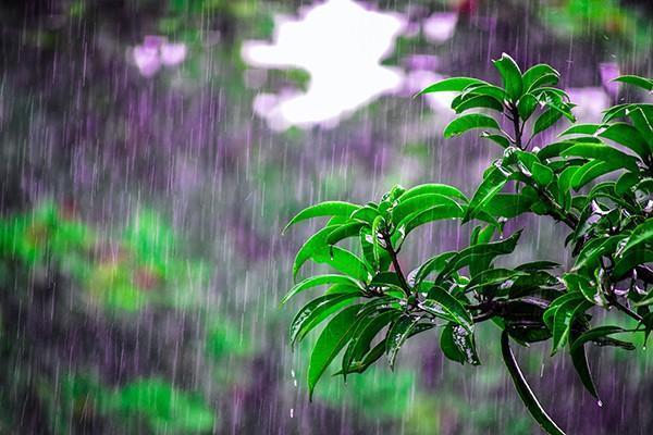 大家財(cái)產(chǎn)保險(xiǎn)公司怎么樣？有哪些險(xiǎn)種？