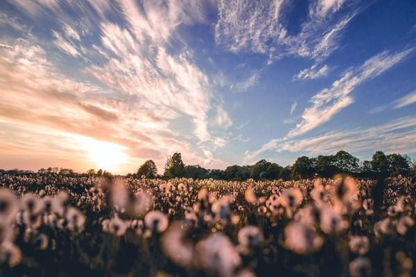 社保一個(gè)月交多少錢？斷交一個(gè)月算斷交嗎？