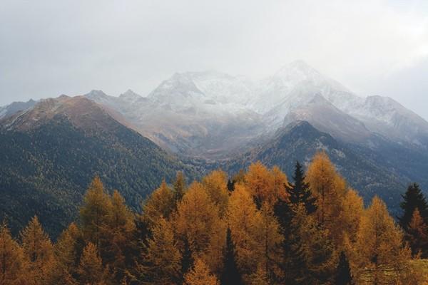 意外險(xiǎn)的理賠范圍是什么？是怎么理賠的？