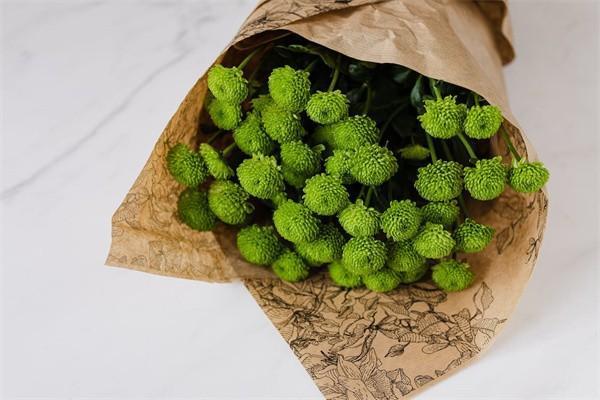 家財險都保什么？有必要買嗎？