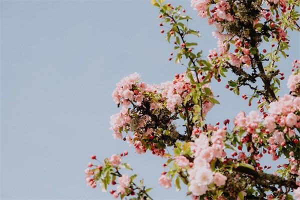 保險不理賠找哪個投訴部門？投訴有用嗎？