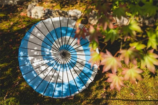 保險(xiǎn)公司不給理賠我應(yīng)該怎樣投訴？投訴有用嗎？