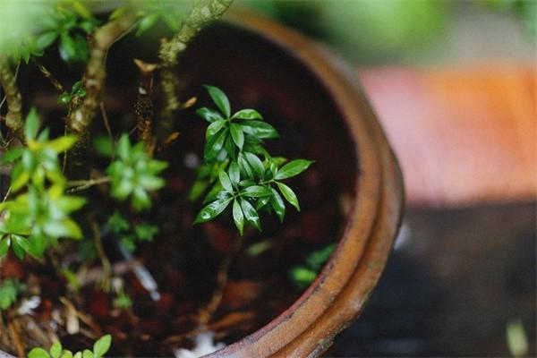 意外險個人怎么買？買哪種最好？
