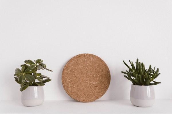 是買重疾險好還是百萬醫(yī)療好？哪個更便宜？