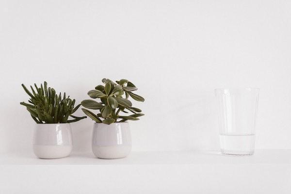 百萬醫(yī)療和重疾險有必要都買嗎？為什么重疾險貴這么多？