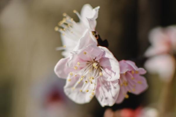 企業(yè)年金提取扣稅比例是多少？要如何領(lǐng)?。?/>
                                            </div>
                                        </a>
                                        <div   id=