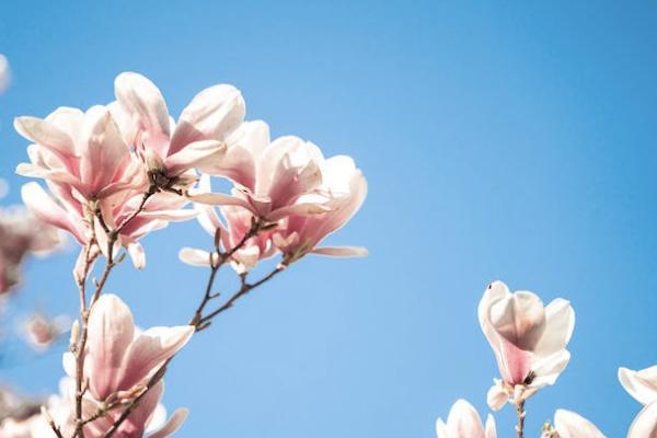 信泰如意頤享養(yǎng)老年金保險(xiǎn)保障有什么？誰(shuí)可以投保？
