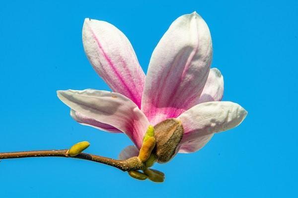 銀行個人養(yǎng)老金賬戶是什么意思呢？個人養(yǎng)老金賬戶能開幾個？