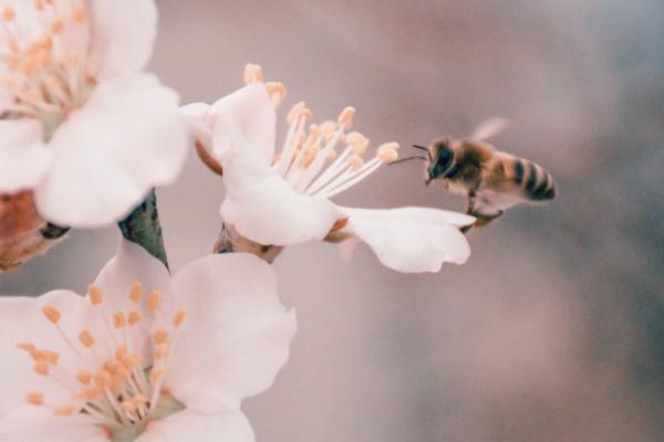 百萬醫(yī)療險和重疾險的區(qū)別是什么？都要買嗎？