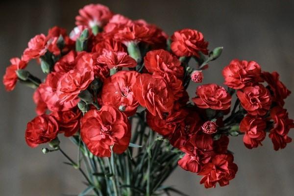 太平金生恒贏年金保險(分紅型)有哪些優(yōu)點(diǎn)？承保公司怎么樣？