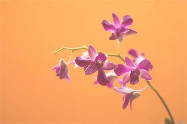 好醫(yī)保長期醫(yī)療20年版保費是多少？等待期是多久？