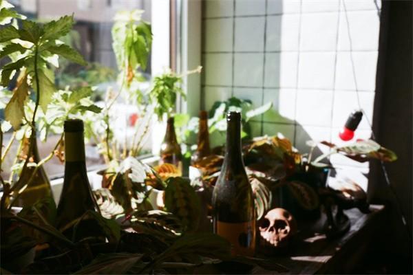50歲年金險(xiǎn)最好排第一的是哪個(gè)？50歲買年金險(xiǎn)合適嗎？