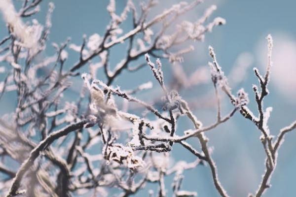 泰康百萬(wàn)醫(yī)療險(xiǎn)一年交多少錢(qián)？有必要買(mǎi)嗎？