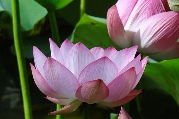 理財(cái)保險(xiǎn)背后你不知道的坑有哪些？到底有沒(méi)有必要買？