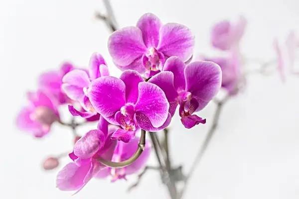 元保百萬醫(yī)療險每月交多少錢？值得購買嗎？