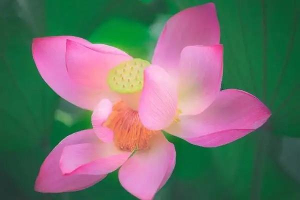 郵局理財(cái)保險(xiǎn)安全嗎？適合哪些人買？