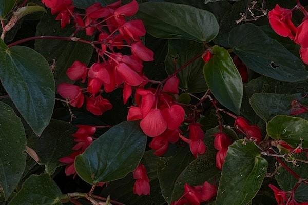 理財(cái)保險(xiǎn)有沒有必要買？理財(cái)保險(xiǎn)安全嗎？