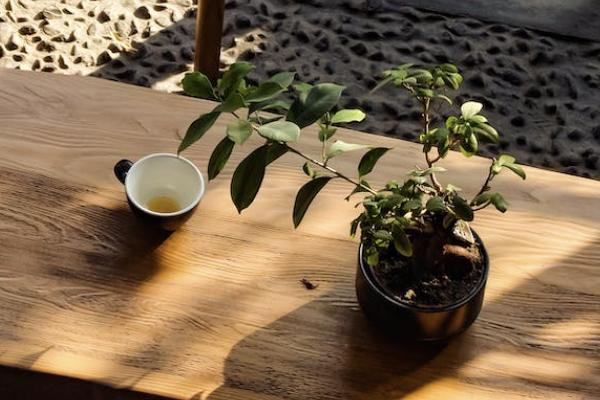 尊享世家終身壽險是哪家保險公司的？值得購買嗎？