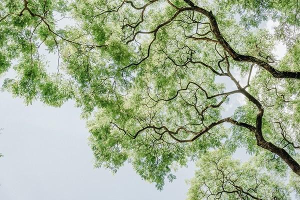 養(yǎng)老保險(xiǎn)中斷是不是白交了？社保中斷怎么補(bǔ)交？