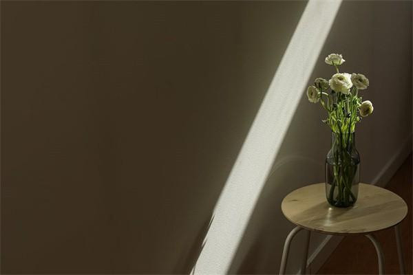 醫(yī)保卡如何綁定家人？余額查詢怎么查？