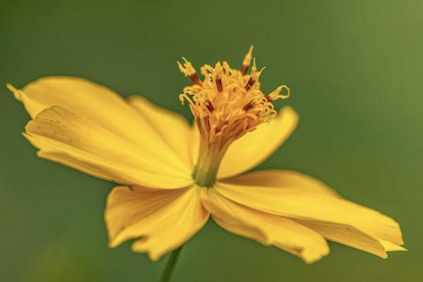 請問個(gè)人買社保怎么買？繳費(fèi)基數(shù)和比例是多少？