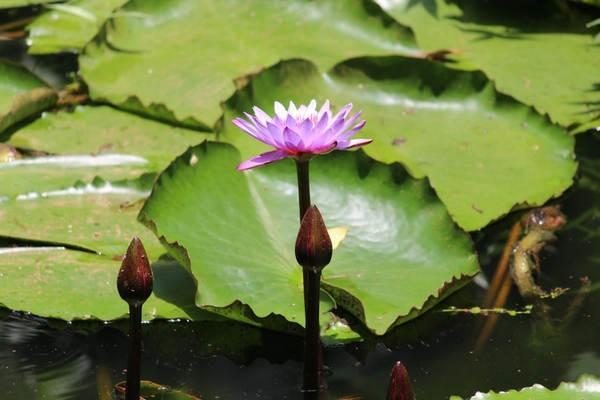 補(bǔ)充醫(yī)療保險(xiǎn)報(bào)銷(xiāo)范圍包括哪些？哪些范圍不報(bào)銷(xiāo)？