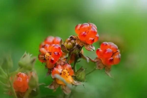 重慶醫(yī)?？ǖ狡诹四芫W(wǎng)上換嗎？換新卡流程是怎樣的？