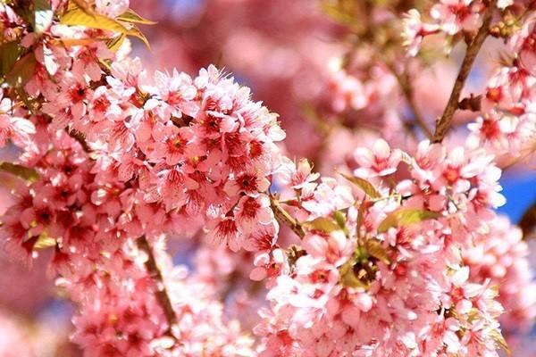企業(yè)養(yǎng)老個人賬戶是什么意思？個人賬戶養(yǎng)老金怎么算？