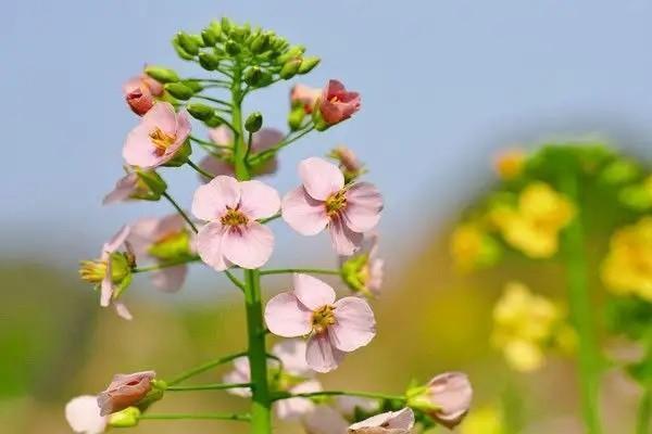 養(yǎng)老金賬戶是什么？余額怎么查詢(xún)？