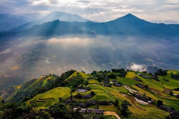 重疾險(xiǎn)分組和不分組區(qū)別是什么？哪個(gè)好？