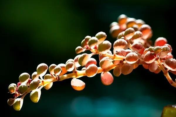 郵政推出的保險(xiǎn)理財(cái)產(chǎn)品可靠嗎？利率有多少？