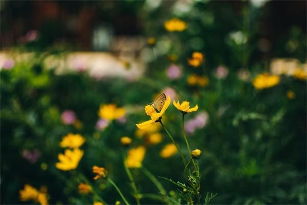 月薪5000五險(xiǎn)扣多少錢一個(gè)月？是從工資里扣嗎？