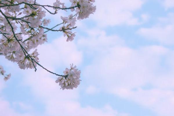 養(yǎng)老保險計算公式是怎樣的？退休后可以領多少？