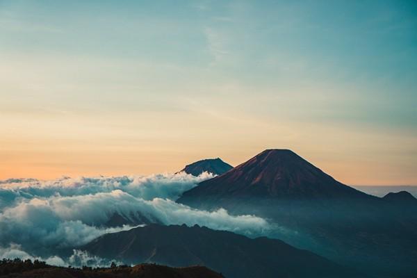 保險公司十大排名哪家靠譜？哪家口碑最好？