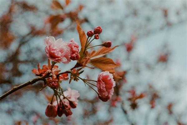 養(yǎng)老金領(lǐng)取計算方法是什么？條件是什么？